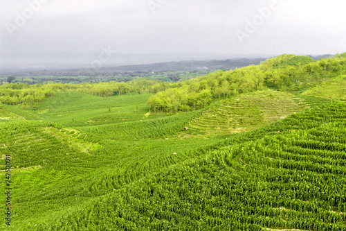 Landscape Gunung bagus, Wonosari, Yogyakarta, Indonesia