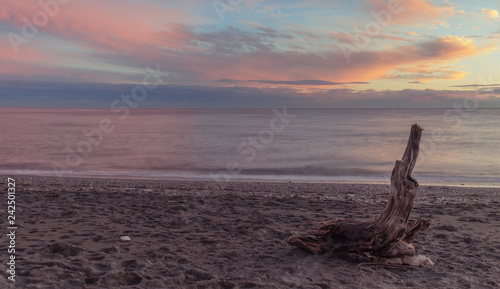 Nerja, Malaga, Andalusi, Spain - November 23, 2018: Old tree trunk stranded on a beach in a beautiful sunset