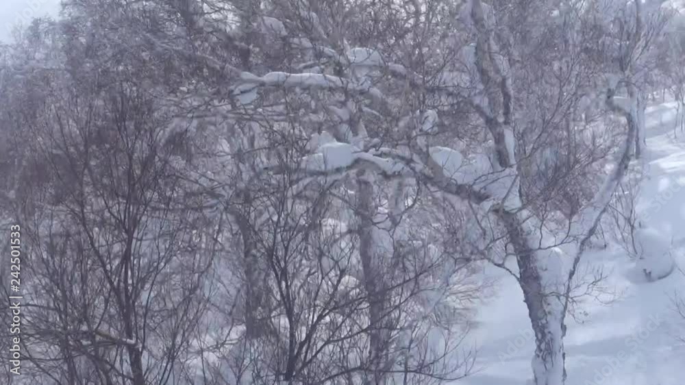 雪山の空撮 / 北海道のスキー場 ゴンドラから撮影 雪山の空撮 / 北海道のスキー場 ゴンドラから撮影