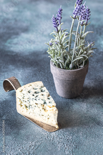 A wedge of blue cheese photo