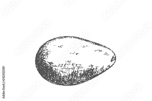 Avocado mosaic design, vector illustration 