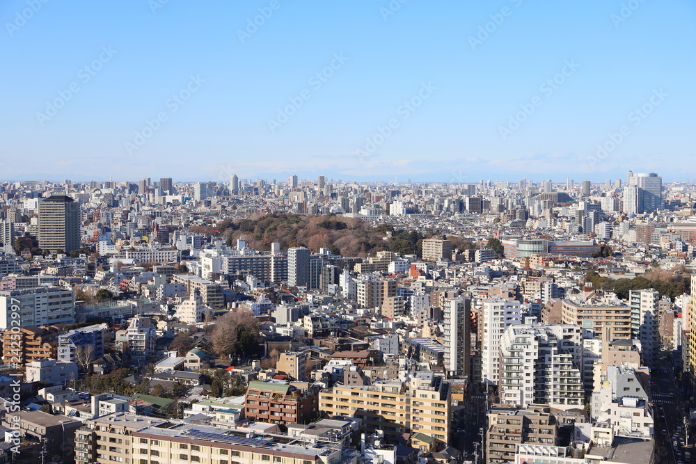 東京都文京区のシビックセンターからの眺め