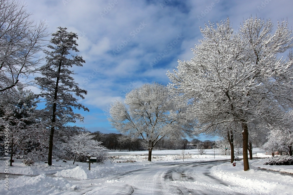 Beautiful winter morning background. Winter landscape with small town street view after blizzard. Winter snowy day background. Beautiful winter morning background. Winter landscape with small town street view after blizzard. Winter snowy day background.