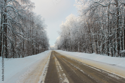 Road through winter forest