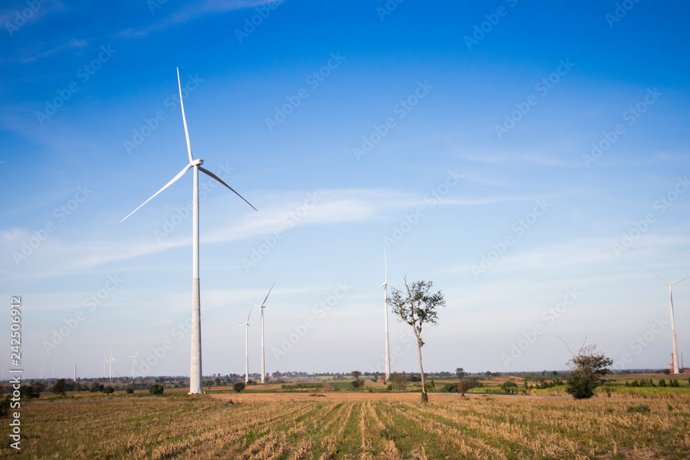 wind turbines in the field of blue sky