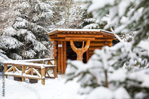 Harzer Wald im Winter photo