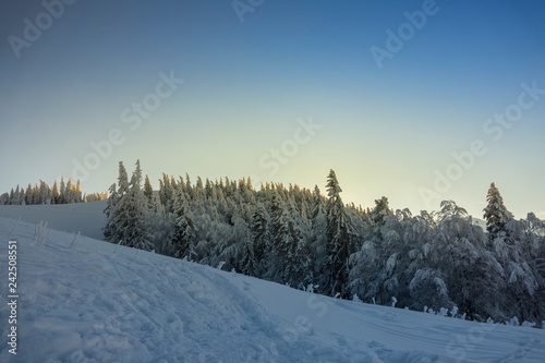 Fantastic winter mountain landscape glowing by sunlight © zane38