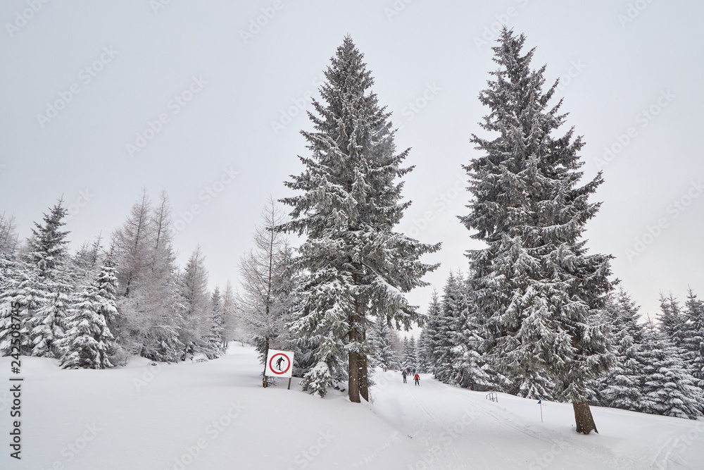 Winter landscape with cross-country ski trail, Jakuszyce, Poland.