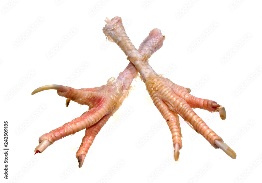 chicken legs isolated on white background chicken legs isolated on white background