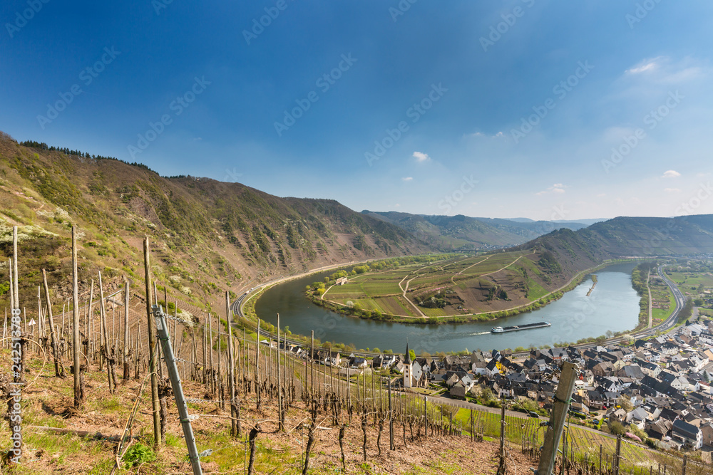 Moselle Riverbend In Bremm, Germany