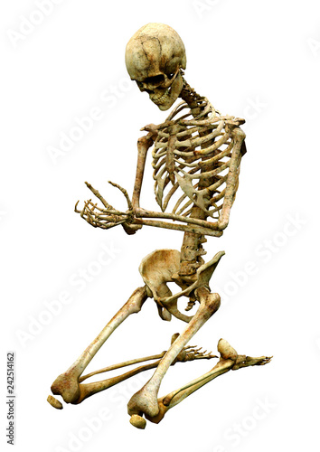 3D Rendering Human Skeleton on White