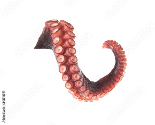 Quadro su tela tentacles of octopus isolated on white background
