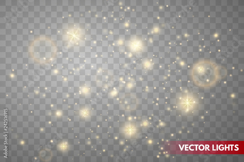 Glow light effect. Gold sparkle dust. Glitter particles. Vector background. Christmas magic lights