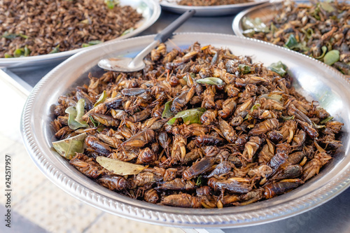 Fired cicadas and insects at a market in Thailand. © Tee11