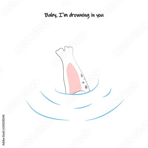 postcard of a ladies ' man seal, which makes you compliments