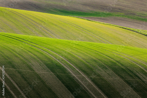 Moravian Tuscany landscape. Fields and meadows in South Morava, Czech republic. Wavy country scenery at sunset. © matkovci