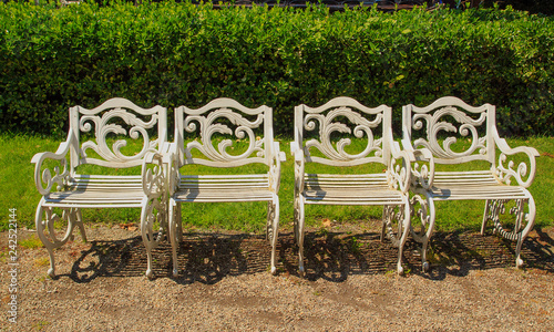 Single white chairs in the park in Istanbul,Turkey. photo