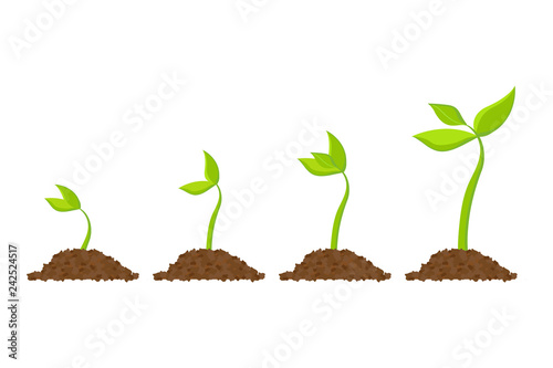 Simple sprouting seed drawing. Sprout, plant, tree growing agriculture icons. Vector illustration