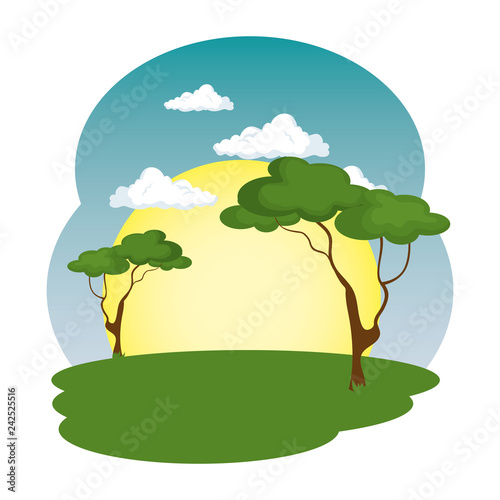 camp field landscape scene