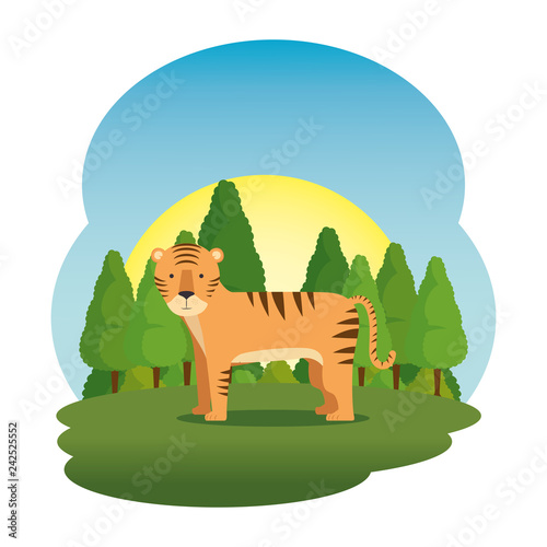 cute tiger in the field scene