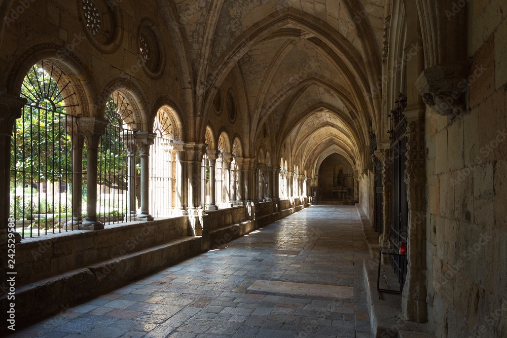 Cloister of Tarragona cathedral, Catalonia, Spain