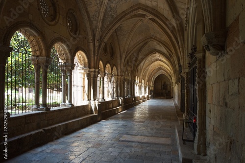 Cloister of Tarragona cathedral  Catalonia  Spain