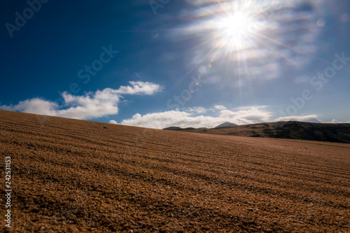 Bajo un sol abrasador en medio del desierto