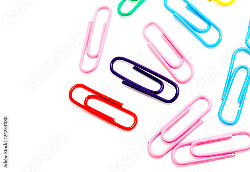 paper clips on a white background, isolate, for designers 