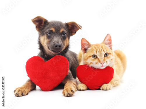 Cat and dog with red hearts.