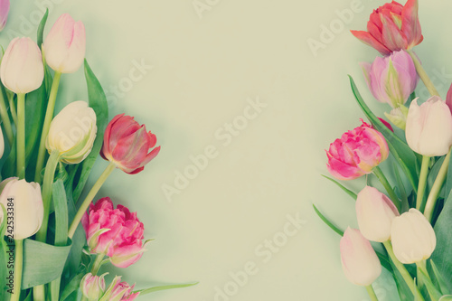 Fototapeta Naklejka Na Ścianę i Meble -  Fresh tulips flowers