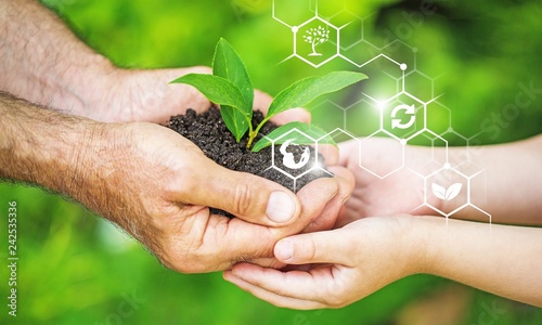 Green plant in human hands on blurred background