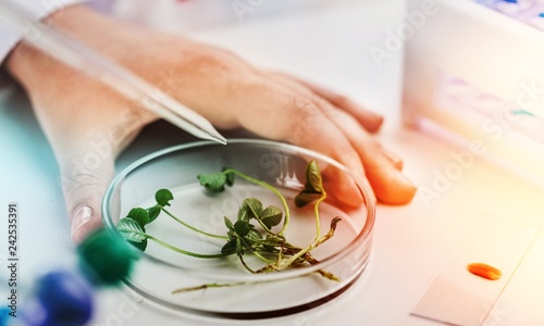 Toxicology add agent alternative analysis anti-aging assistant