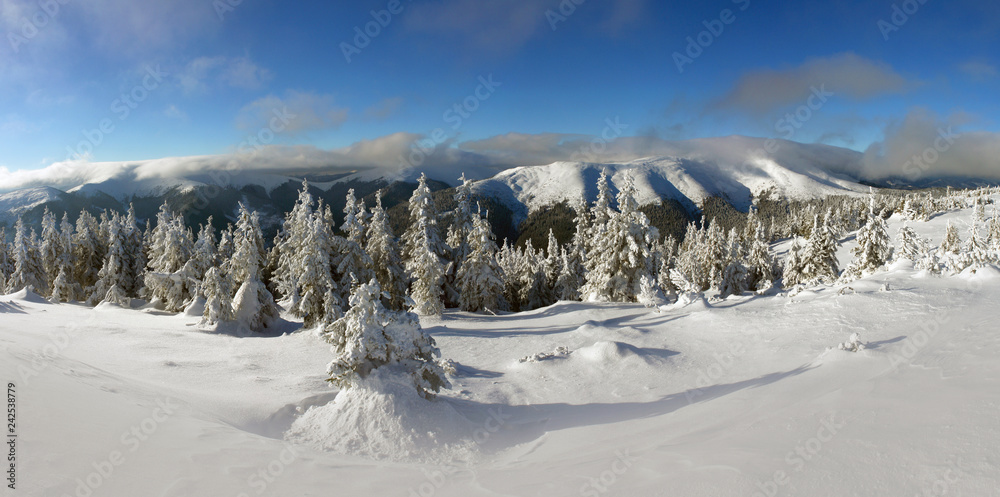 Sunny day in the winter mountains