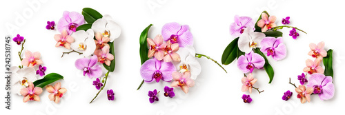 Orchid flower set