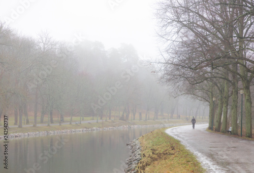 canal lined with trees on a gray and foggy winter day