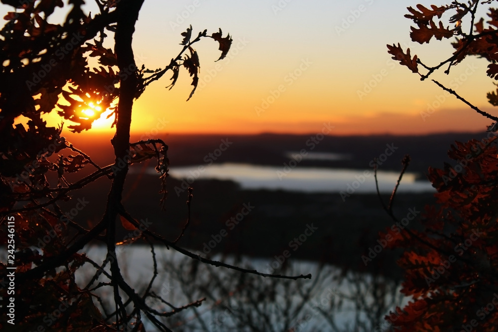 Tree branches without leaves and lakes in the background at sunset Tree branches without leaves and lakes in the background at sunset