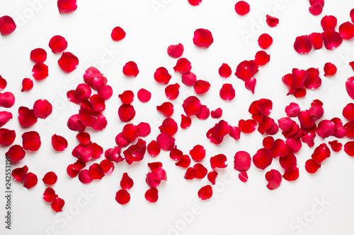 Valentine s Day. Rose flowers petals on white background. Valentines day background. Flat lay  top view  copy space.