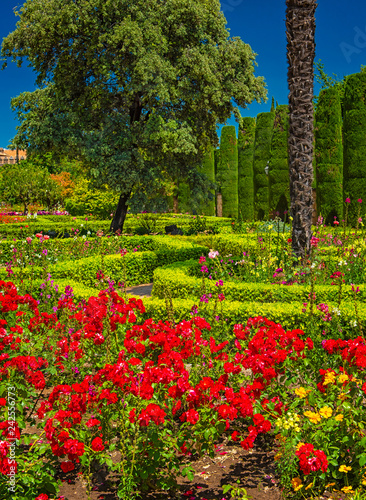 Gardens at the Alcazar in C...