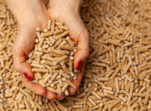 Wood pellets in hands.