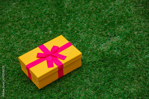 Beautiful yellow gift box with pink bow on green grass lawn