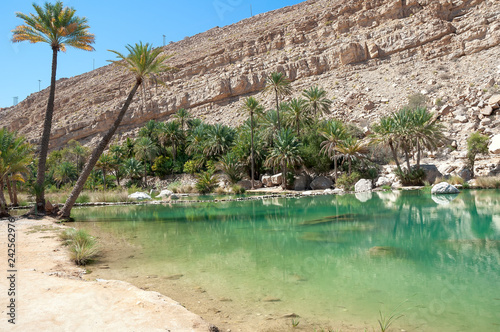 Wadi Bani Khalid - Omani desert - Sultanate of Oman photo