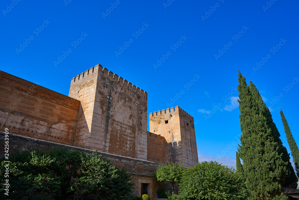 Fototapeta premium Alcazaba of Alhambra in Granada of Spain