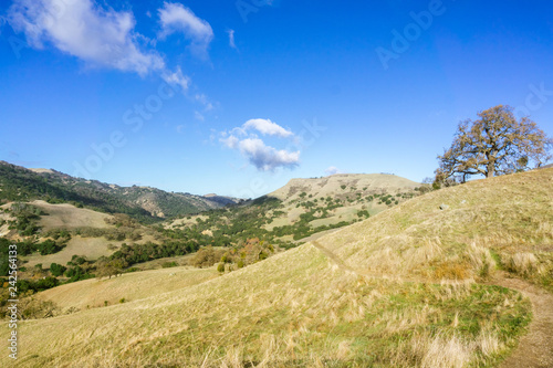 Hiking trail through Sunol Regional Wilderness, San Francisco bay area, California