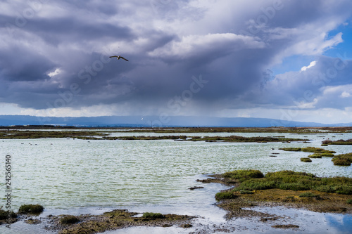 Storm clouds approaching Alviso marsh, San Jose, south San Francisco bay, California photo