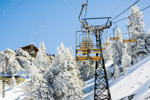 Mount Baldy (Mt San Antonio) ski lift on a sunny day; snow covering the ground and the pine trees, Los Angeles county, California photo