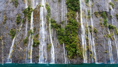 Waterfall Wall, Milford Sound New Zealand