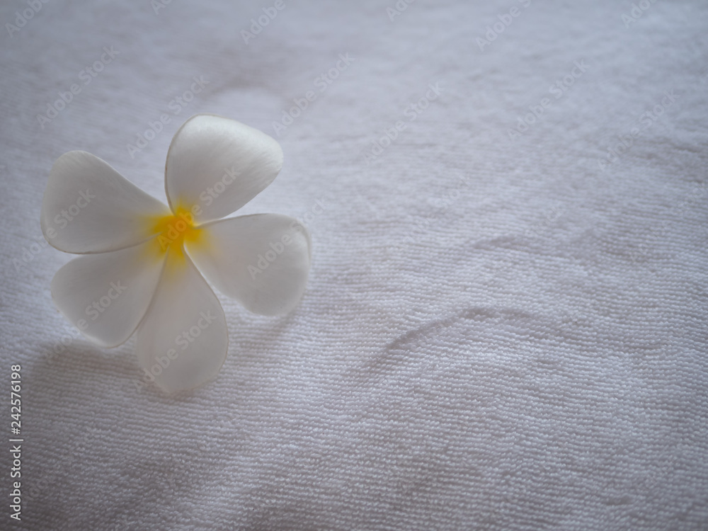 White plumeria flower on towel. Spa composition background White plumeria flower on towel. Spa composition background
