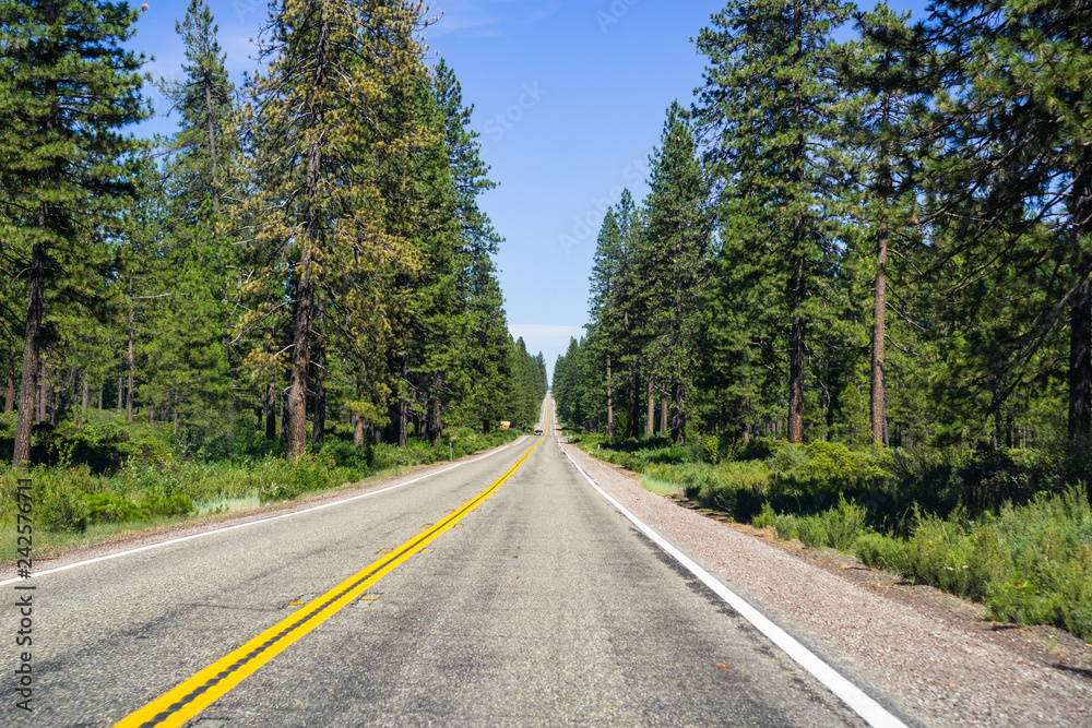 Fototapeta premium Driving through Shasta National Forest, Siskiyou County, Northern California