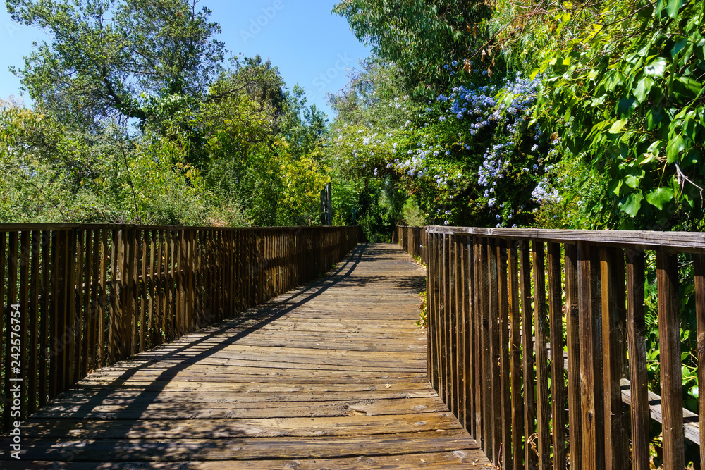Wooden boardwalk, part of the Los Gatos Creek trail in the town of Los Gatos, south San Francisco bay area