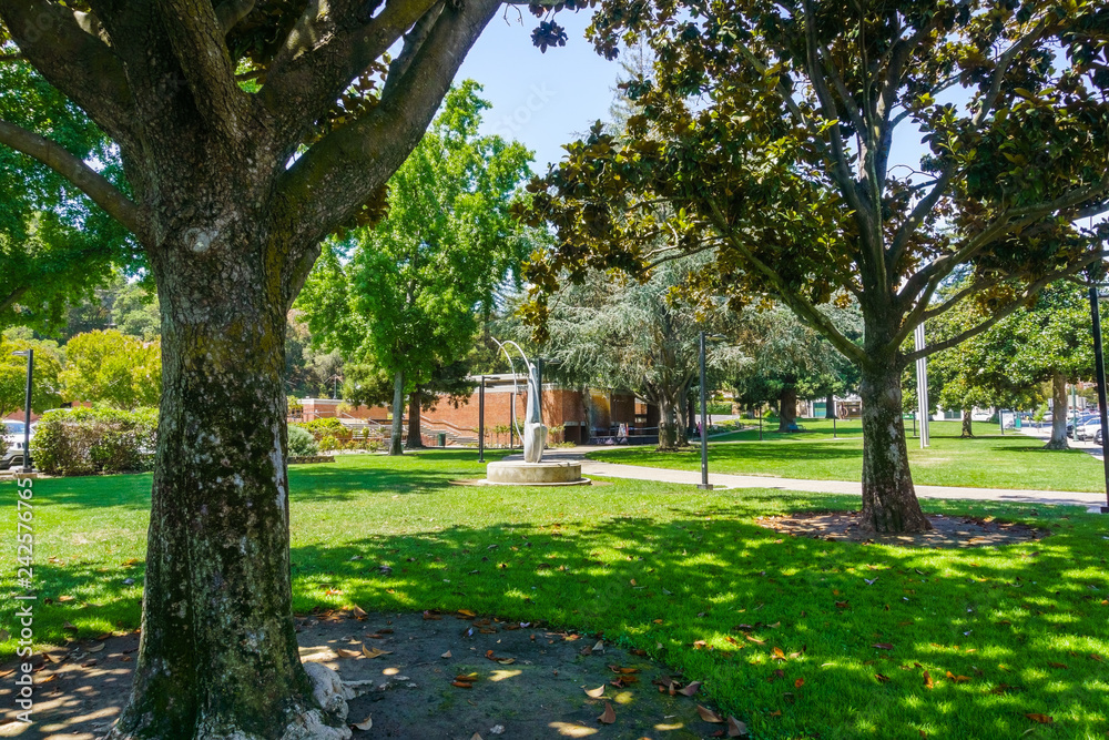 Beautiful public park with mature Magnolia trees in downtown Los Gatos, close to the Civic Center, south San Francisco bay area, California